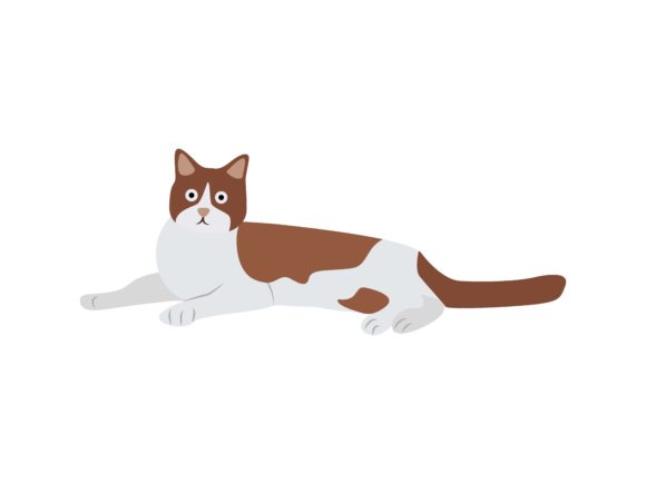 American Cat Sit Animal: A Charming Illustration for Creative Projects