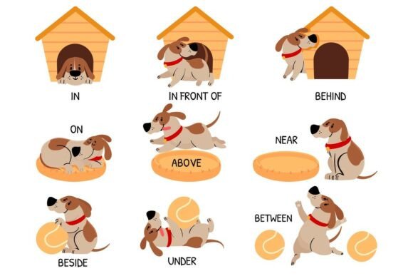 English Prepositions with Cute Animal: A Visual Guide for Learners