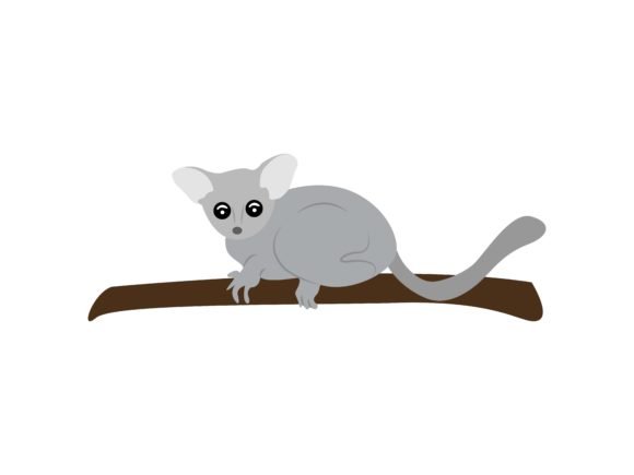 The Endearing Appeal of the Slow Loris Sitting on a Branch Animal
