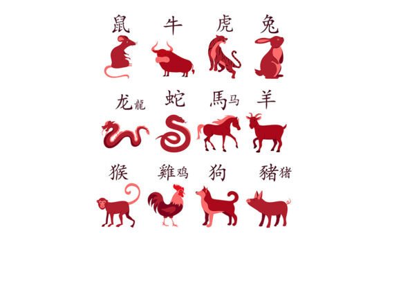 Unveiling the Chinese Zodiac Animal Chart with Symbols